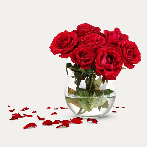 سایت گل فروشی و فروش بذر و خدمات